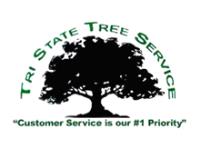 Tri-State Tree Service image 1